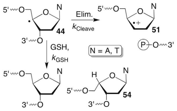 Scheme 24