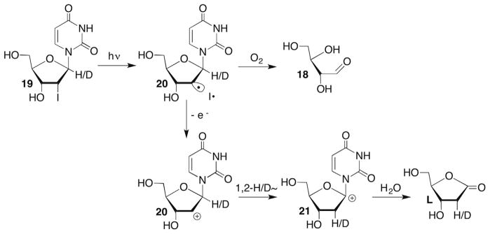 Scheme 11