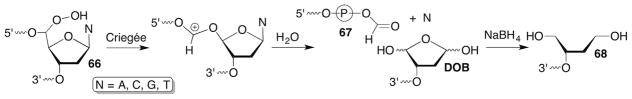 Scheme 30