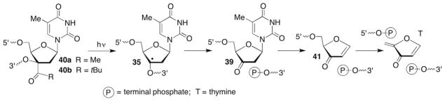 Scheme 17