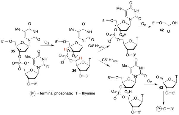 Scheme 18