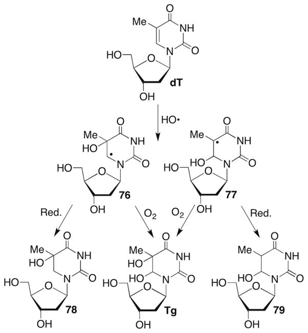 Scheme 34