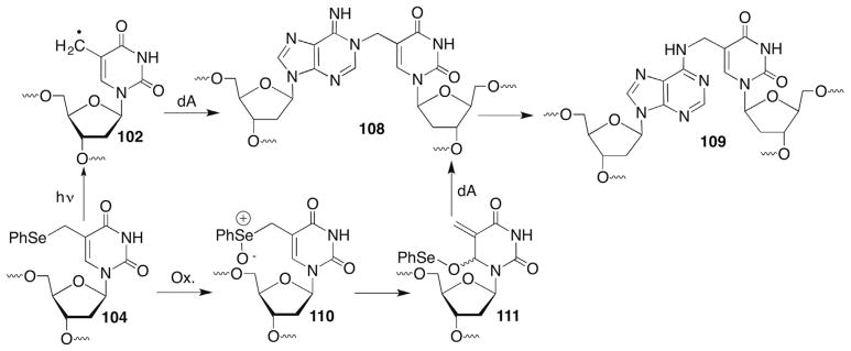 Scheme 44