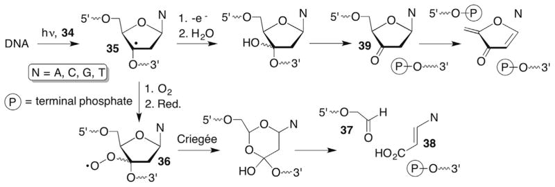 Scheme 16