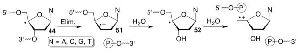 Scheme 22