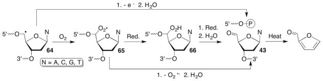 Scheme 29