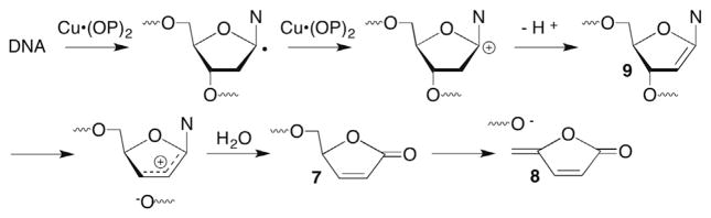 Scheme 6