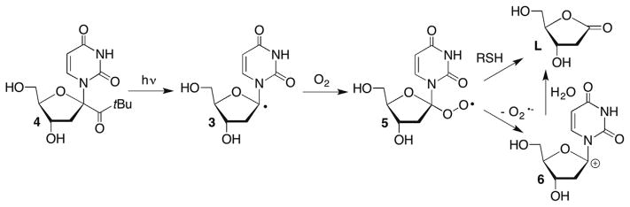 Scheme 3