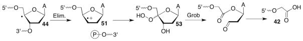 Scheme 23