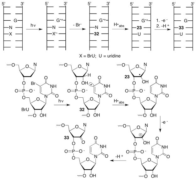 Scheme 15