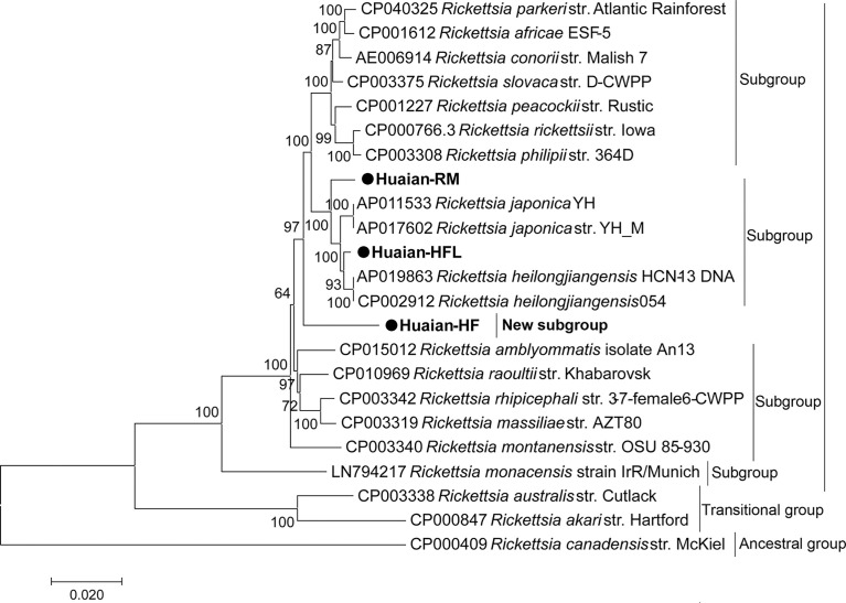 Figure 3