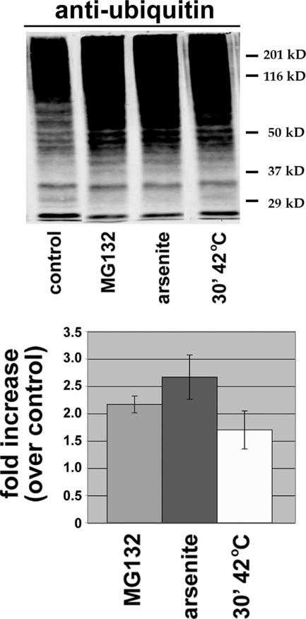 Figure 9.