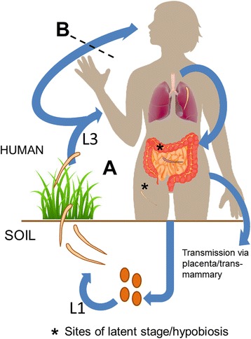 Fig. 2