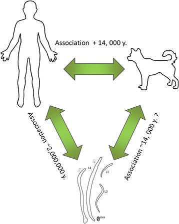 Fig. 1