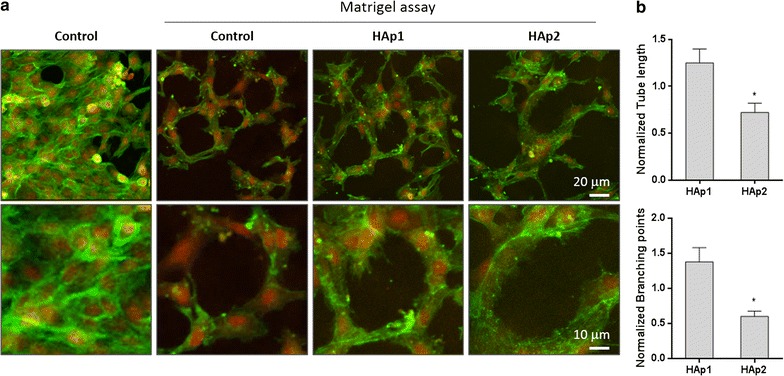 Fig. 9