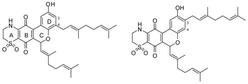Figure 13