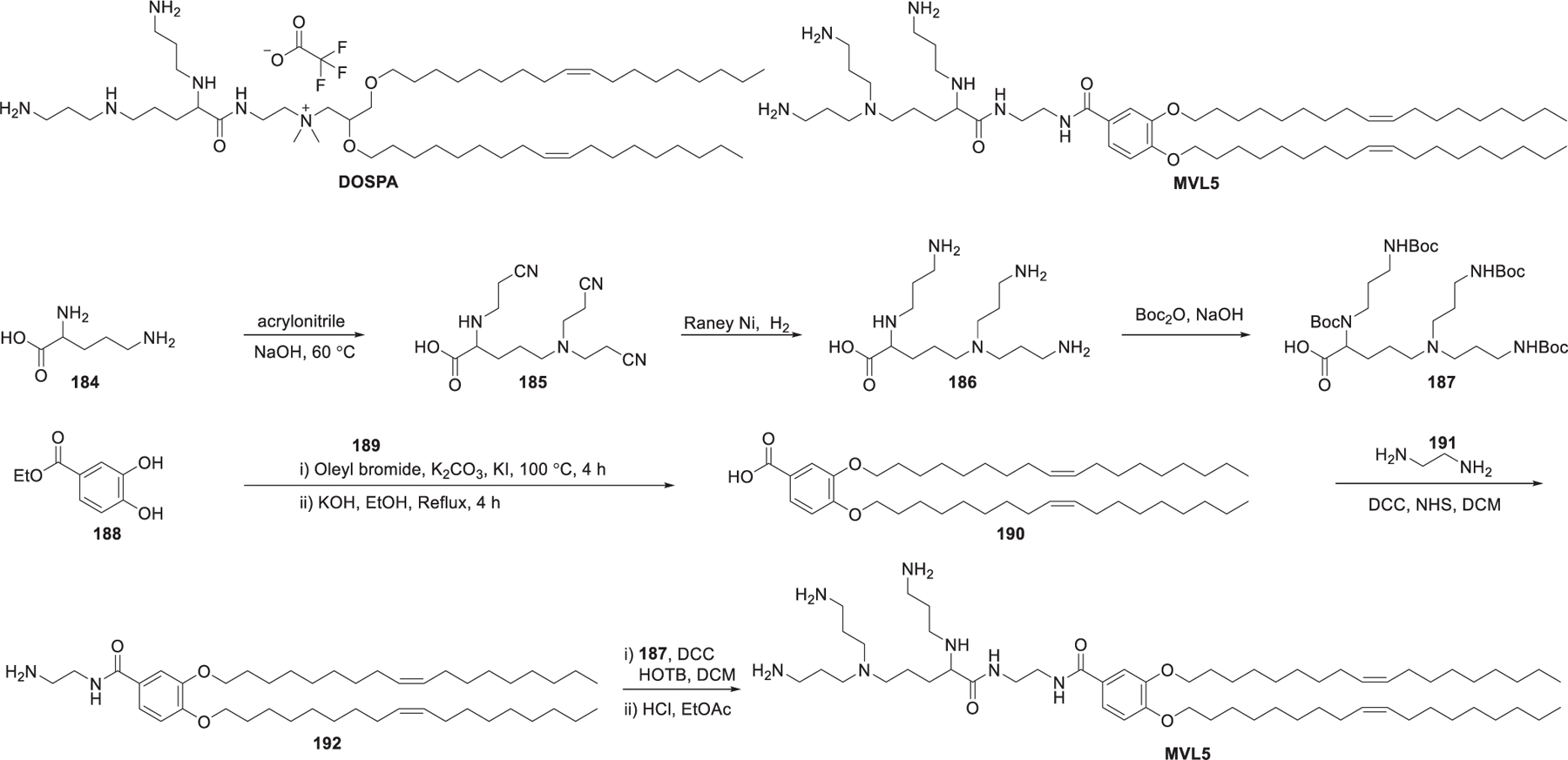 Figure 29.