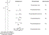 Figure 77.