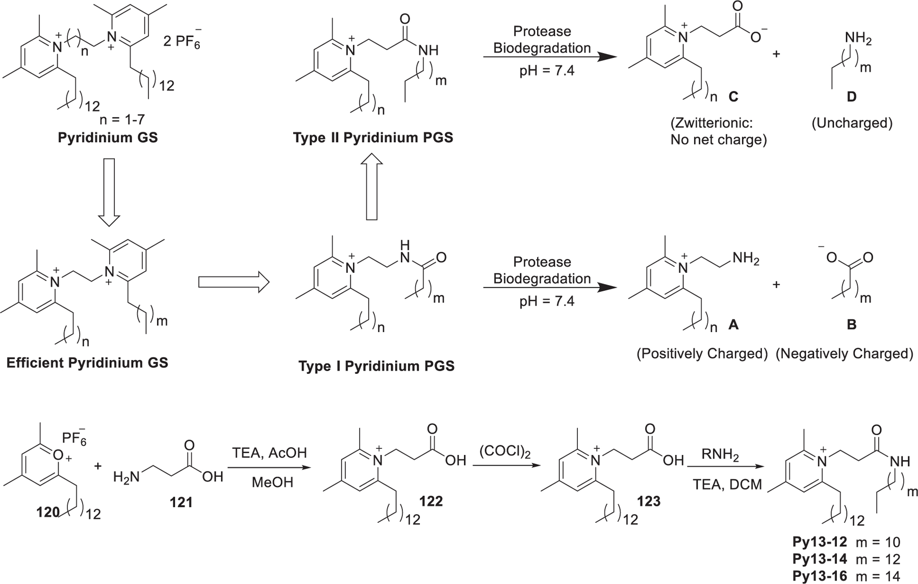 Figure 24.