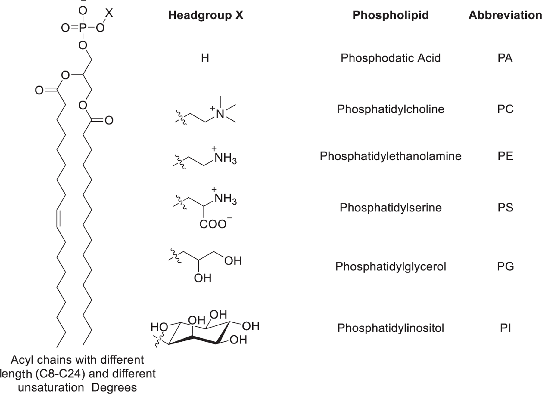 Figure 77.