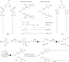 Figure 33.