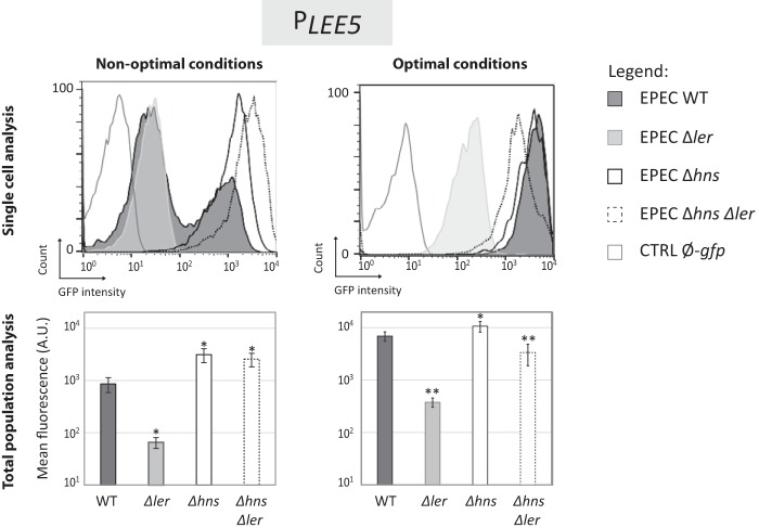 FIG 3 