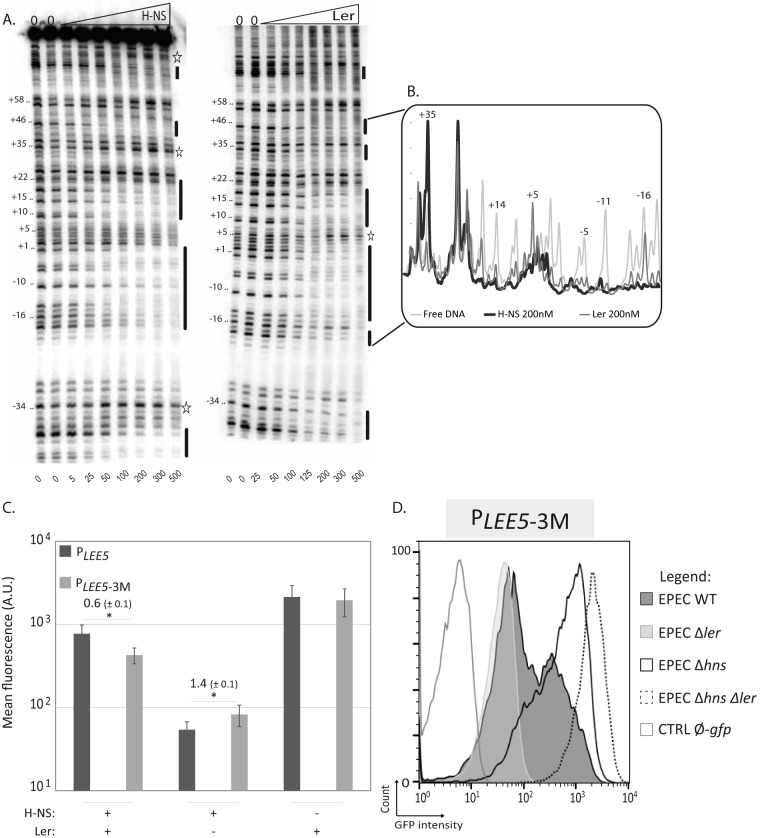 FIG 4 