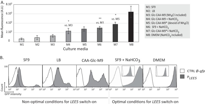 FIG 2 