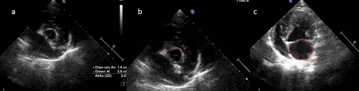 Fig. 1.