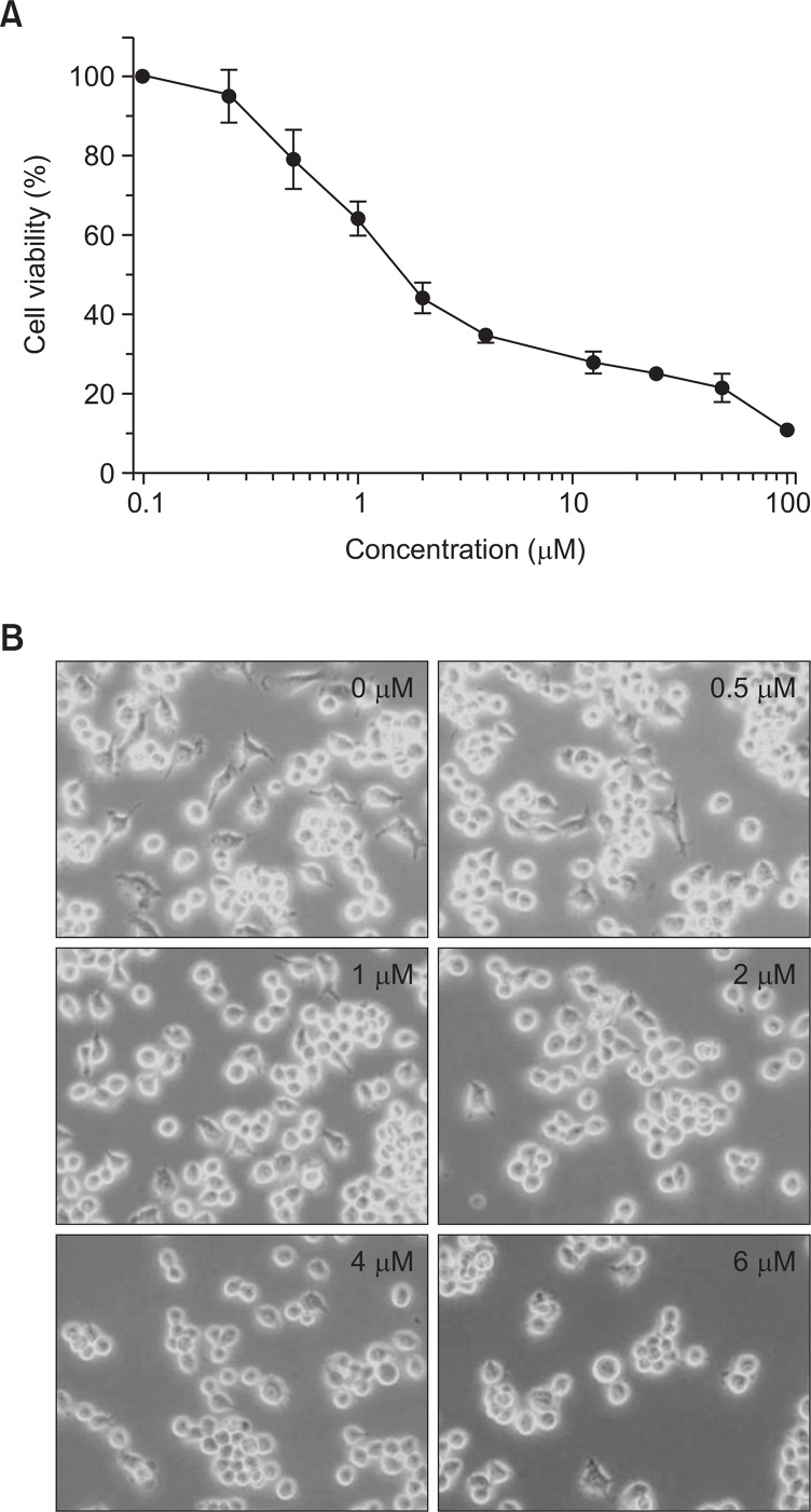 Fig. 2.