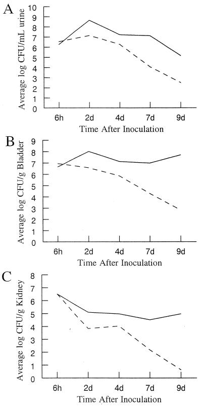 FIG. 6