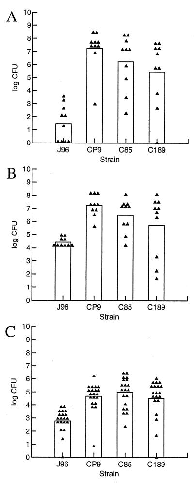 FIG. 1