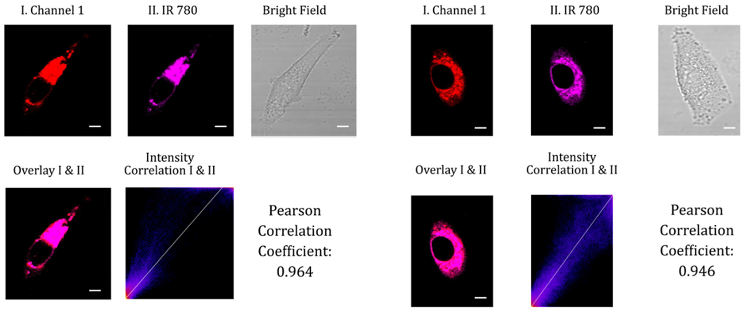 Fig. 9