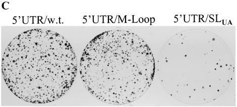 FIG. 2.