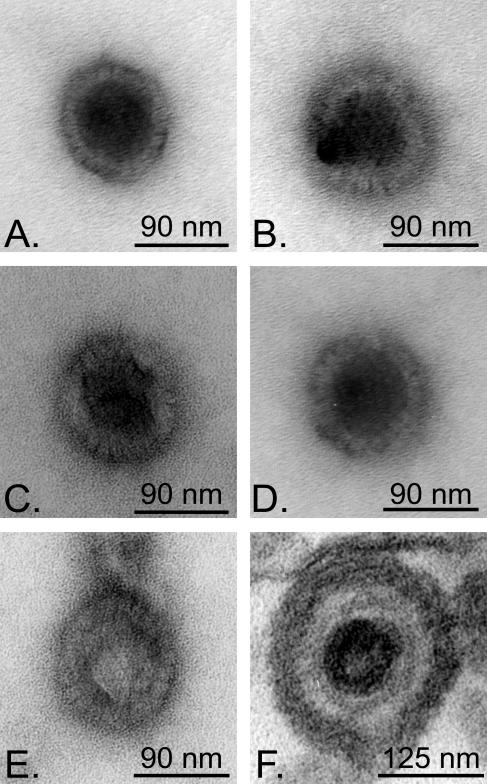 FIG. 7.