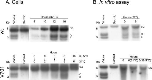 FIG. 11.