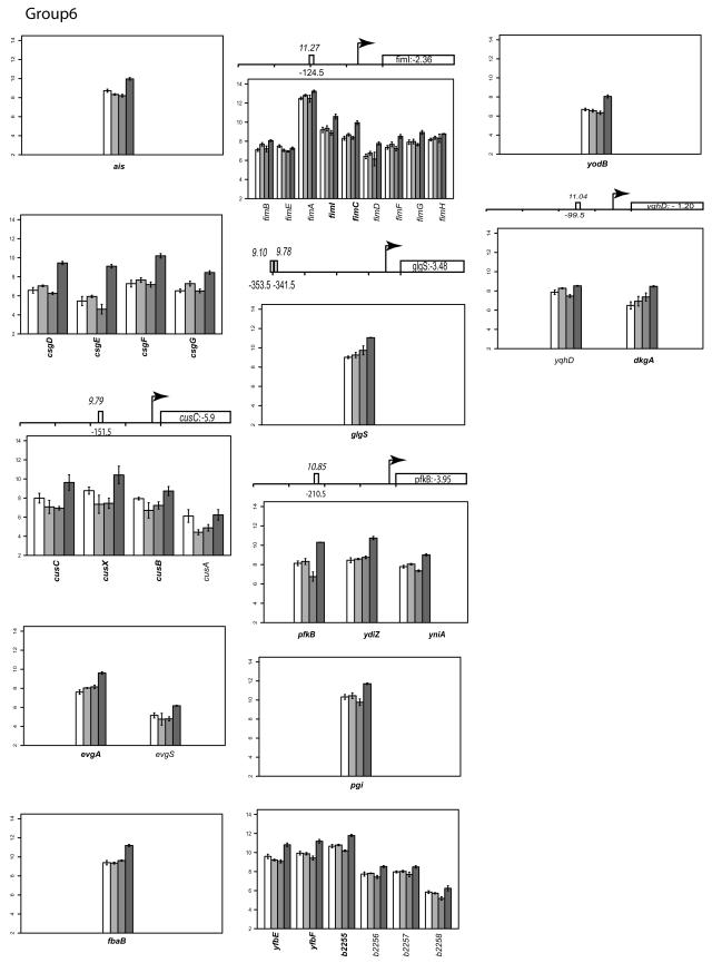 FIG.2.