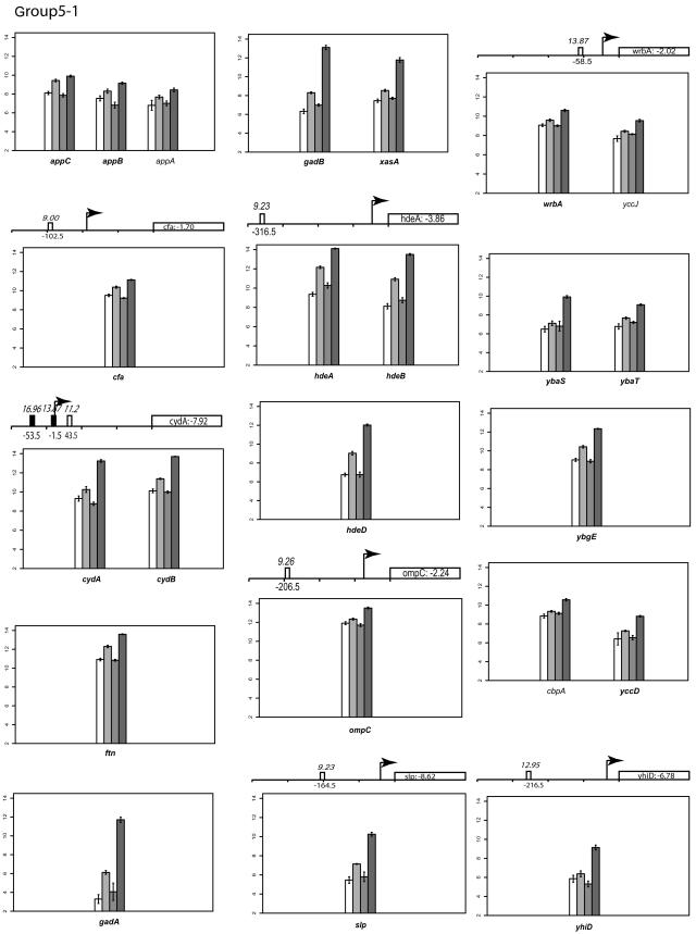 FIG.2.