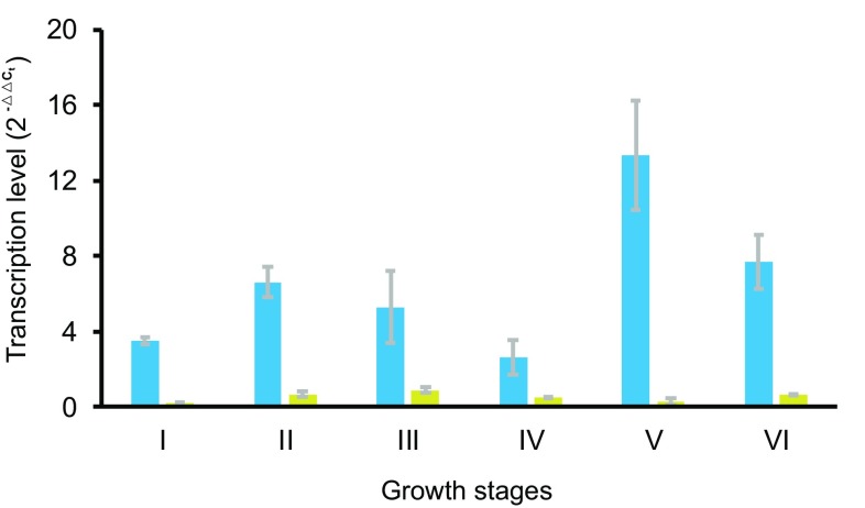 Fig. 3