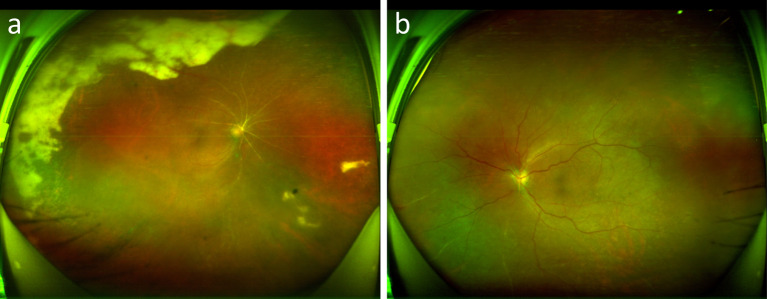 Fig. 8