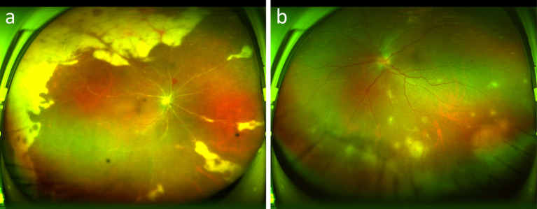 Fig. 7