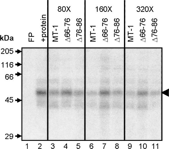 FIGURE 3.