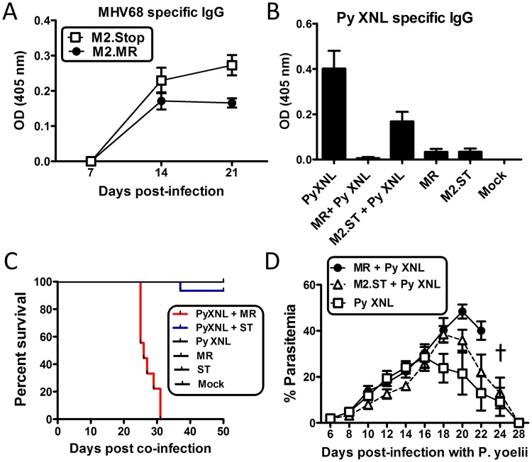 Fig 6