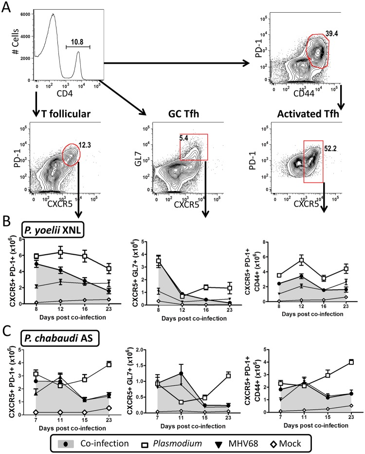 Fig 4