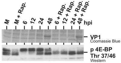 FIG. 9.