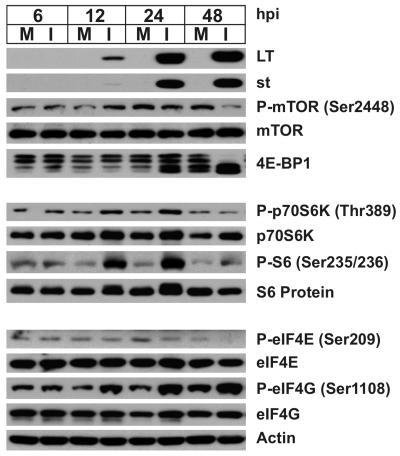 FIG. 8.