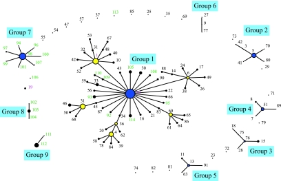 FIG. 1.