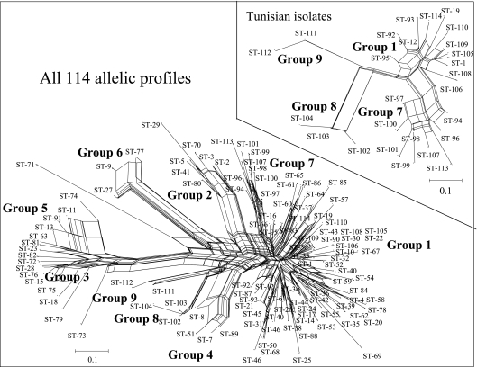 FIG. 2.