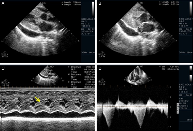 Figure 1