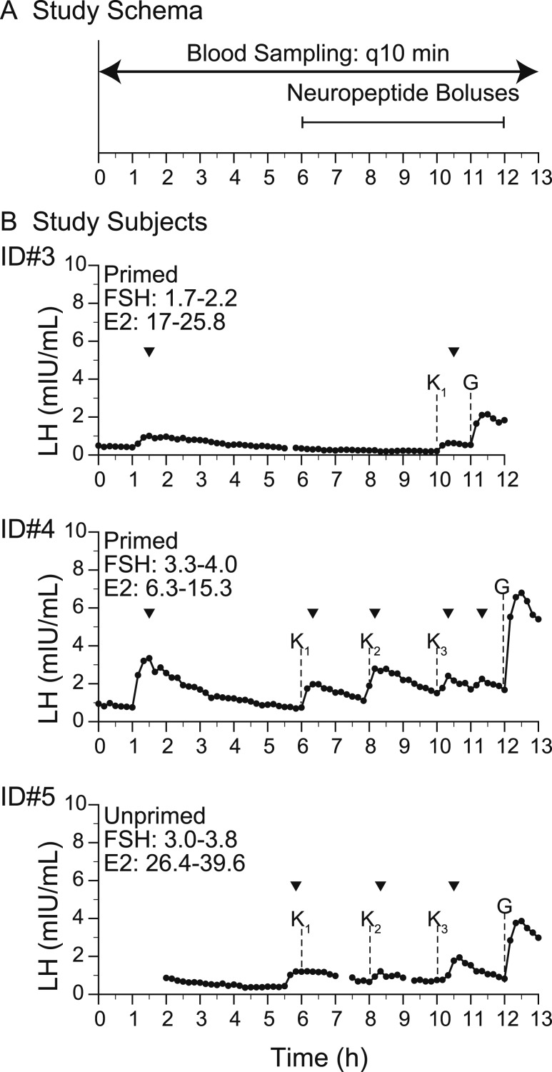 Figure 2.